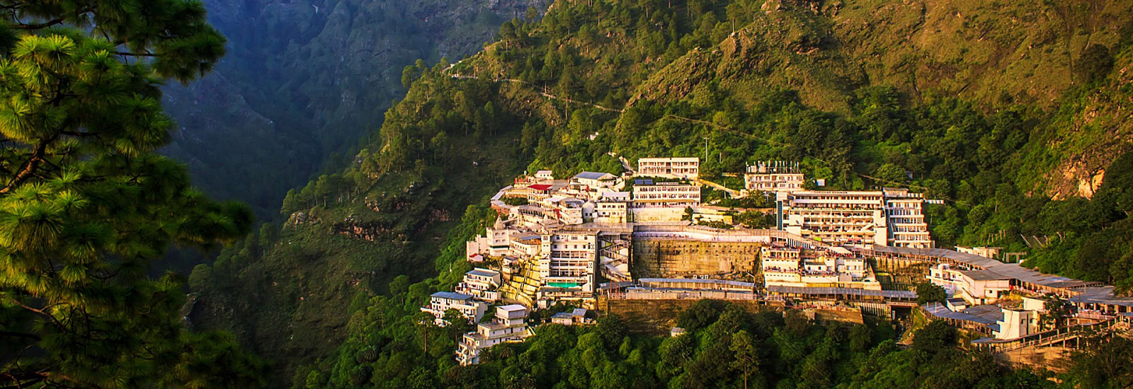 Taxi Service in Katra